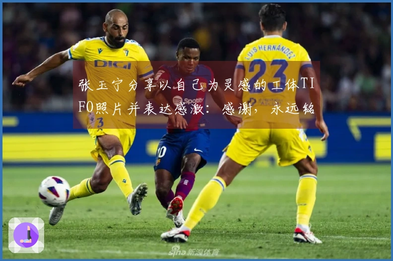 张玉宁分享以自己为灵感的工体TIFO照片并表达感激：感谢，永远铭记！