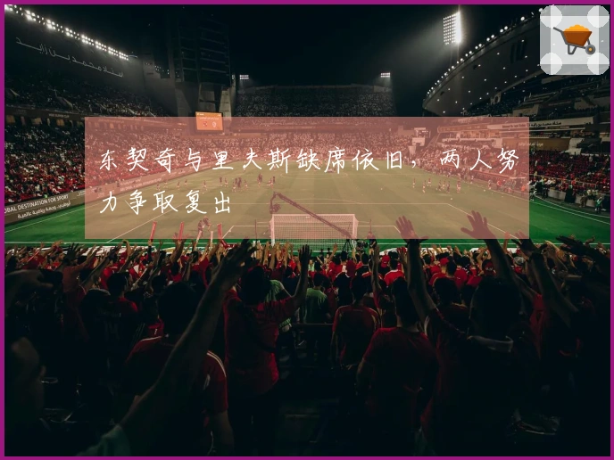东契奇与里夫斯缺席依旧，两人努力争取复出