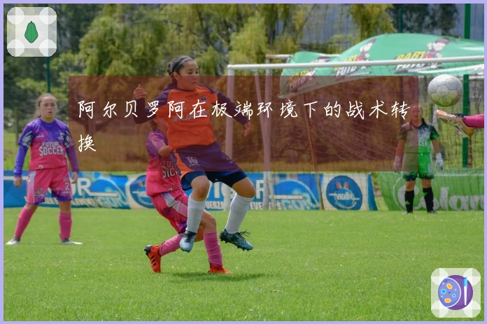 阿尔贝罗阿在极端环境下的战术转换